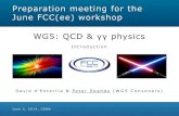 Preparation meeting for the June FCC(ee) workshop WG5: …skands.physics.monash.edu/slides/files/14-FCC-kickoffWG5-nobuilds.pdfP. Skands & D. d’Enterria 2 FCC: European Strategy