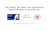 The known, the novel, the unexpected: Particle Physics in ...yorks/www/talks/talkKolloq10.pdf · The known, the novel, the unexpected: Particle Physics in the LHC era Prof. Dr. York