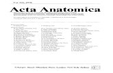 Vol.102,1978 Acta Anatomica - CORE and changes in the poll glands of the camel (Camelus dromedarius). Part III 74 Sinowatz, F.; Skolek-Winnisch, R.; Lipp, W., und Meierhofer, B.: Histotopik