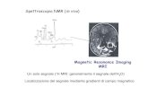 Spettroscopia NMR (in vivo)Spettroscopia NMR (in vivo) Magnetic Resonance Imaging MRI Un solo segnale (1H MRI: generalmente il segnale dell’H2O) Localizzazione del segnale mediante
