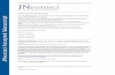 The Journal of Neuroscience...Aug 28, 2017  · Special thanks to Dr. Li Gan (Gladstone/UCSF) for generously îô providing us with the neurogenin-2 knock-in iPSC line, and Dr. David