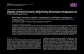 QingjieFuzhengGranuleInhibitedtheMigrationandInvasionof ...downloads.hindawi.com/journals/ecam/2020/5264651.pdfexpression of lncRNA ANRIL, TGF-β1, phosphorylated (p)-Smad2/3, Smad4,