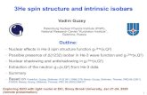3He spin structure and intrinsic isobars · 2020. 1. 21. · 3He spin structure and intrinsic isobars Vadim Guzey Petersburg Nuclear Physics Institute (PNPI), National Research Center