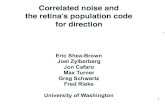 Correlated noise and the retina’s population code for direction ...faculty.washington.edu/etsb/pubs/correlated_noise_and...ν neuron 1 response se uncorrelated neuron 1 response
