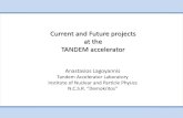 Current and Future projects at the TANDEM accelerator€¦ · Charged -particle induced X rays RBS , ... Nuclear Astrophysics p-process Network of more than 20000 reactions ... Depth