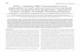 IFN-α inhibits HBV transcription and replication in cell culture ...dm5migu4zj3pb.cloudfront.net/manuscripts/58000/58847/JCI...Laura Belloni,1,2,3 Lena Allweiss,4 Francesca Guerrieri,1,3,5