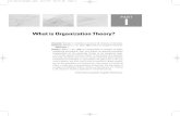 What is Organization Theory? · 2011. 12. 20. · What is Organization Theory? theorist/’ ΙərΙst/ n. a holder or inventor of a theory or theories. theorize/’ ΙəraΙz/v. intr.