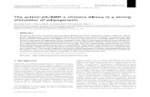 The activin-A/BMP-2 chimera AB204 is a strong stimulator of adipogenesislamr.snu.ac.kr/wp-content/download/cvno.114.pdf · 2017. 1. 11. · BMP-2 Mouse pre-adipocytes (3T3-L1) were