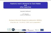 Hadronic matrix elements for Dark Matter and other searches ...Laurent Lellouch CPT Marseille CNRS & Aix-Marseille U. Budapest-Marseille-Wuppertal collaboration (BMWc) (Phys.Rev.Lett.