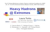 The 31st Reimei Workshop on Hadron Physics in Extreme … · 2016. 1. 20. · Garcia-Recio, Nieves, Salcedo and LT ‘10, ‘12 Initially predicted in 208Pb within QMC model Tsushima