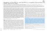 Analysis of β2AR-Gs and β2AR-Gi complex formation by ...Analysis of β 2AR-G s and β 2AR-G i complex formation by NMR spectroscopy Xiuyan Maa, Yunfei Hub,c , Hossein Batebid , Jie