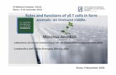 III National Congress ISCCA, Rome, 8-10 november2018 Roles and · PDF file 2018. 12. 4. · Roles and functions of γδγγδδγδT cells in farm animals: an immune riddle. Rome,