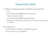 Dopamina (DA) - units.it...Dopamina (DA) • Effetti cardiovascolari mediati da recettori: – D1 – β1-adrenergici è effetto inotropo + – Causa rilascio di NA I recettori α