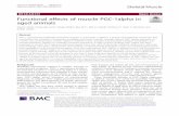 Functional effects of muscle PGC-1alpha in aged animals · 2020. 5. 6. · RESEARCH Open Access Functional effects of muscle PGC-1alpha in aged animals Steven Yang1, Emanuele Loro2,