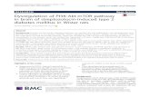 Dysregulation of PI3K-Akt-mTOR pathway in brain of ... ... diabetes mellitus in Wistar rats Siresha