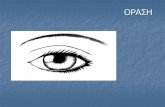 ΑΗblogs.sch.gr/vasileiod/files/2013/05/10.-ORASI-1.pdf · 2013. 5. 16. · ι υπάρχει μέσα στο μάτι; Είναι ένας στρογγυλός βολβός, που