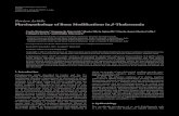 PhysiopathologyofBoneModiﬁcationsin β-Thalassemia...β-thalassemia in its various presentations is more common in the Mediterranean area, Africa, and Southeastern Asia. 3.PathogenesisofBoneChanges