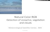 Natural Color RGB - jma.go.jp › jma › jma-eng › satellite › VLab › RGB-Natural_Colors.pdfNatural Color RGB Detection of snow/ice, vegetation and clouds Meteorological Satellite
