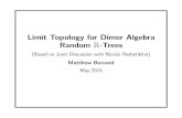 Limit Topology for Dimer Algebra Random R- ... Abstract We prove inverse partition correlation of Z