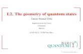 L2. The geometry of quantum stateshomepage.cem.itesm.mx/fdelgado/ciencia/cadi/D0202P2.pdf · 2013. 1. 24. · Upon measuring the arbitrary state |αi, the probability P(αk) of getting