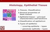 Histology, Epithelial TissueEpithelial tissue Gr. ἐπί, epi, upon + θηλή, thēlē, nipple Origin –from all three germ layers of the embryo The tissue that: covers surfaces