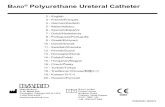 Bard Polyurethane Ureteral Catheter › CRBard › media › ProductAssets › ...2 LOT Indications for Use: The Bard® Polyurethane ureteral catheters are intended for use in the