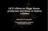 QCD effects on Higgs Boson production and decay at Hadron … · 2012. 3. 22. · 3 Higgs search at hadron colliders One of the most important production channel is the gluon-gluon