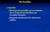 The Penicillins · 2020. 12. 11. · •Gram-positive bacteria are bacteria that give a positive result in the Gram stain test. then appear to be purple-coloured.This is because the