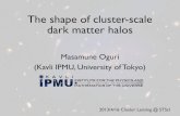 The shape of cluster-scale dark matter halosoguri/presen/stsci2013.pdf · 2018. 6. 4. · The resulting density distribution is nearly circ ular symmetric in this case. ... it is