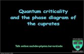 Quantum criticality and the phase diagram of the cupratesqpt.physics.harvard.edu/talks/urbana09.pdf · C. M. Varma, Phys. Rev. Lett. 83, 3538 (1999). Pseudo-gap Strange metal: quantum