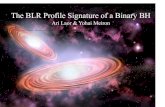 The BLR Profile Signature of a Binary BHActually an old idea A test of the massive binary black hole hypothesis: Arp 102B J. P. Halpern & Alexei V. Filippenko Nature 331, 46 - 48 (1988)