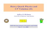 Heavy Quark Physics and CP Violation (II)hep.ucsb.edu/people/richman/MexicoPhysicsSchool_Richman...Heavy Quark Physics and CP Violation (II) Jeffrey D. Richman University of California,