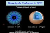 Many-body Problems in QCD · 2010. 11. 8. · Hot matter：T ～1012K Dense matter：ρ ～1012 kg/cm3 Neutron liquid Quark Matter? Lattice QCD confronts experiments Japanese-German