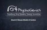 Shank 3 Mouse Model of Autism - Psychogenics ... Shank 3 Mouse Model of Autism Confidential 2 Background