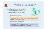 What is a Hypothesis?mba. · PDF file 2013. 2. 14. · What is a Hypothesis? A hypothesis is a claim (assumption) about a population parameter: population mean Basic Business Statistics,11e