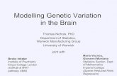 Modelling Genetic Variation in the Brain - Warwick · 2011. 12. 2. · • Scan summaries – Vectors of ad hoc measures • Dynamic graphical tool – Explore many summaries simultaneously