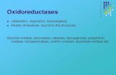 Glucose oxidase, peroxidase, catalase, lipoxygenase, polyphenol oxidase ...old-biomikro.vscht.cz/vyuka/aee/Enzymes_for_technology.pdf · 2014. 3. 28. · Application of peroxidases: