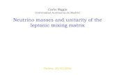 Neutrino masses and unitarity of the leptonic mixing matrixactive.pd.infn.it/g4/seminars/2007/files/biggio.pdf · 2010. 2. 2. · Neutrino masses and unitarity of the leptonic mixing