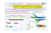 Particle Identification Techniquesiaselli/Fisica dei rivelatori...Dottorato in Fisica Maggio 2005 “Fisica dei rivelatori” Identificazione di particelle E. Nappi 0,1 1 10 100 1000
