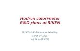 Hadron calorimeter R&D plans at RIKEN â€¢ GEM tracker? â€¢ Priority on hadron â€¢ Hadron trigger issue