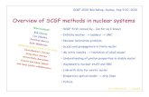 Overview of SCGF methods in nuclear systemsirfu.cea.fr/dphn/Espace_Theorie/Sep2010b/talks/Dickhoff.pdf• 2000 Libby Roth-Stoddard, Washington U, full self-consistency in matter at