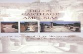DELOS CΆΈ ΈΈ Ε AMPURIASLexica 181 The literary sources and the terminological debate 182 Pavements: typology and terminology 185 Conclusion 189 GLOSSARY 193 ... forms. For example,