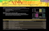 Human Cytokine Products - 2B Scientific...Cat. No. Description Size 41410-1, 2 VeriKine Human IFN Beta ELISA Kit (TCM) 1 x 96-well plate, 5 x 96-well plate 41415-1 VeriKine-HS Human
