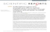 Sulforaphane exerts anti-angiogenesis effects against ......SCIENTIFIC REPORTS ã 12651 DOI1.13/s1-1-12-w... , and ..