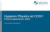 Hyperon Physics at COSYcollaborations.fz-juelich.de/ikp/anke/talks/Hartmann... · 2008. 3. 20. · Hyperon Physics at COSY Forschungszentrum Jülich Mitglied der Helmholtz-Gemeinschaft.