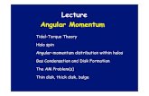 Lecture Angular Momentum - Physics joel/Ay/214/Feb9-Dekel-AngMom.pdf Origin of Angular Momentum Tidal Torque Theory (TTT): q r Γ proto-galaxy perturber Peebles 1976 White 1984 I ij