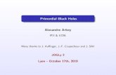 Primordial Black Holes - IN2P3 Events Directory (Indico) · 2019. 10. 21. · Dark matter and Galaxy Rotation Curves ... Other particles/ elds : axions, dark uids, ... Exotic and