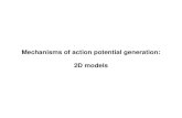 Mechanisms of action potential generation: 2D nb170/teaching/physics567/021-2Dmodels.pdf Action potential