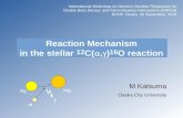 Reaction Mechanism in the stellar C(ag 16O reaction...Reaction Mechanism in the stellar 12C(a,g)16O reactionM Katsuma Osaka City University International Workshop on Neutrino Nuclear