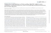 Selective inhibition of the p38α MAPK–MK2 axis inhibits … · Selective inhibition of the p38α MAPK–MK2 axis inhibits inflammatory cues including ... ... 1325